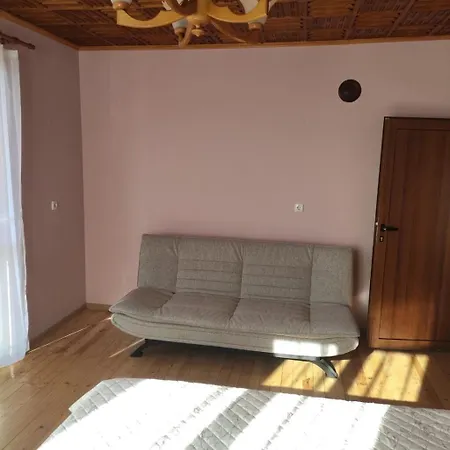 за гости вамсон Apartment *
