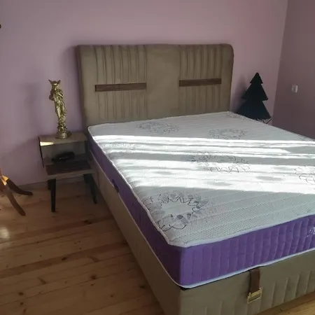 Apartment за гости вамсон Welingrad